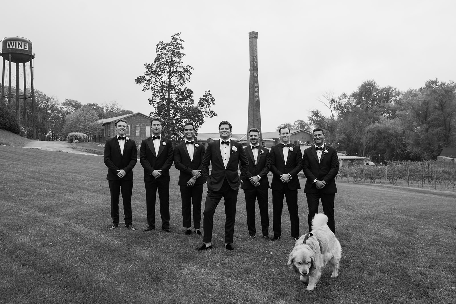 Black and white photo of the groom and groomsmen posing with their dog on the City Winery lawn.