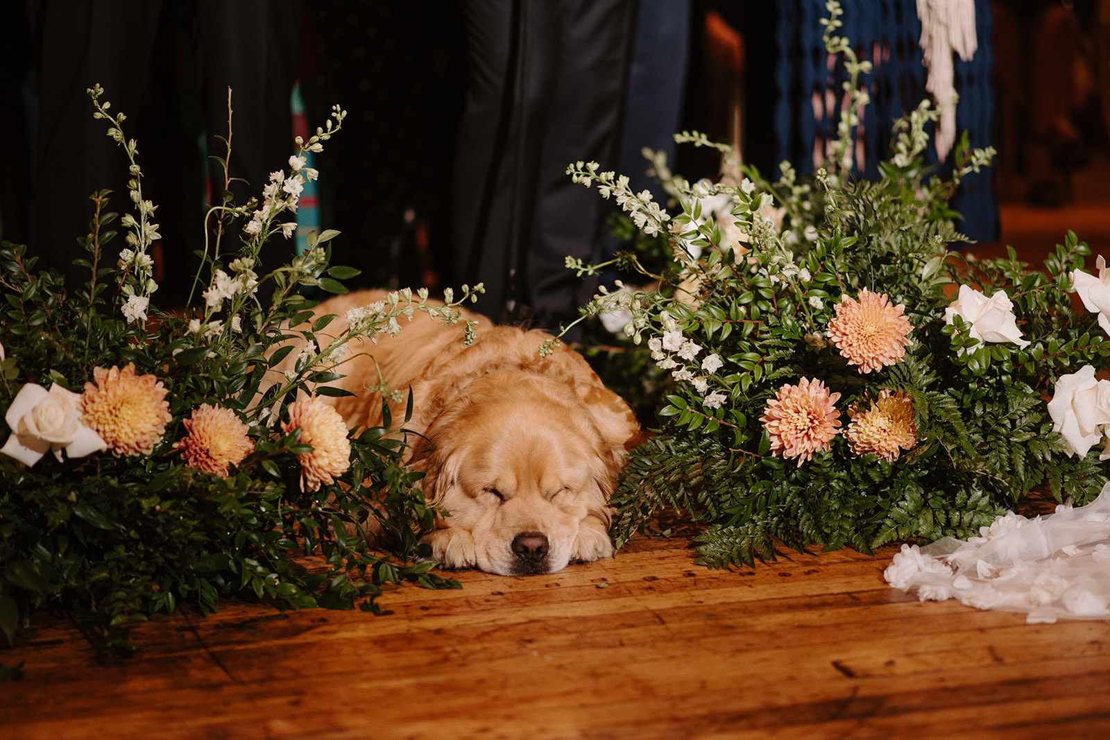 Golden retriever sleeps peacefully on the wood floor between lush floral aisle decorations.