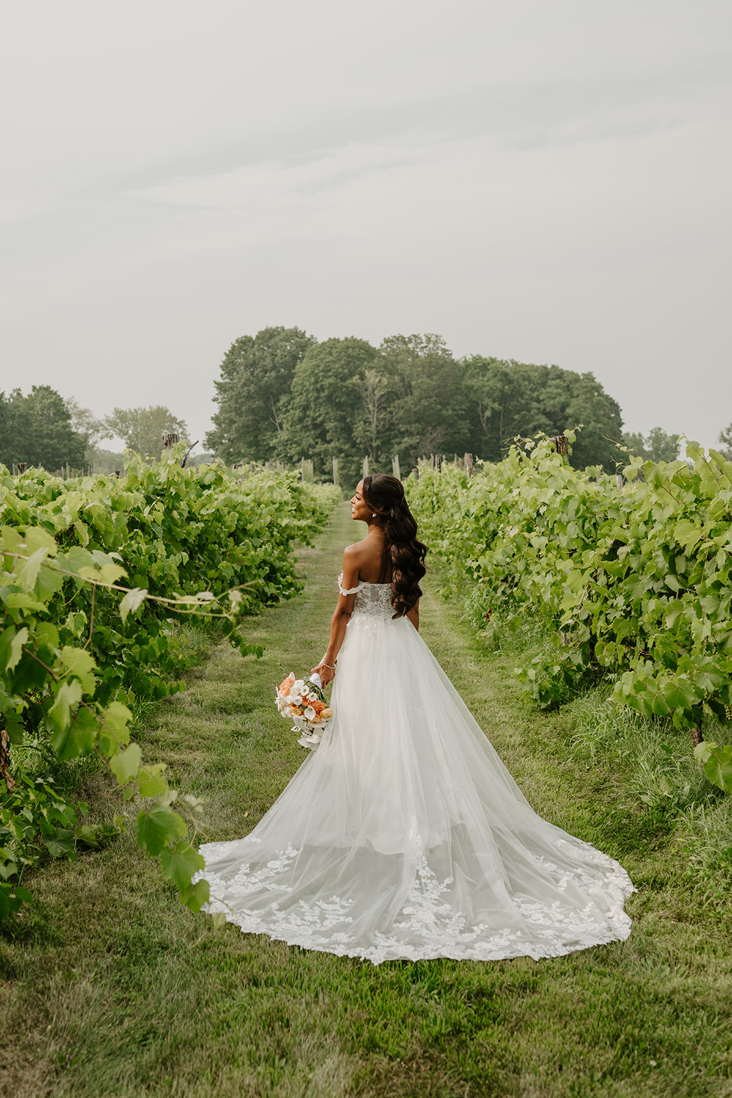 Bride looks back over her shoulder in the vineyard, her long train across the grass.