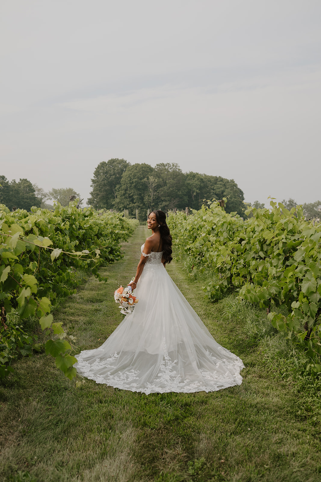 Bride stands alone between the vines, her lace train spread across the grass.